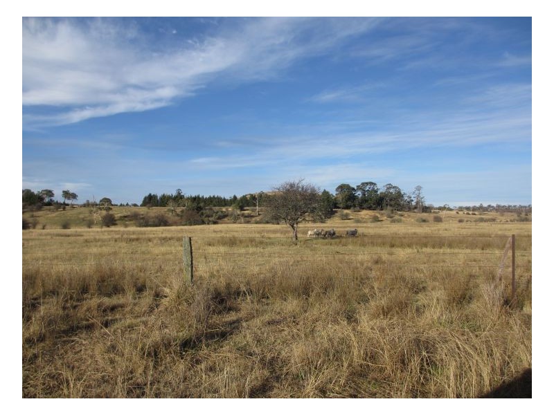 192 Dumaresq Road, Armidale NSW 2350