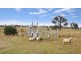 90 Milne Road, Armidale NSW 2350
