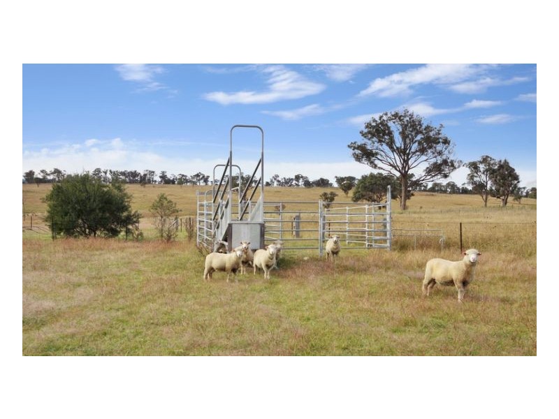 90 Milne Road, Armidale NSW 2350