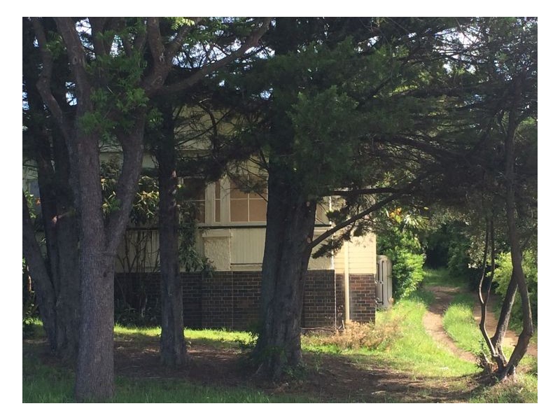 135 Donnelly Street, Armidale NSW 2350