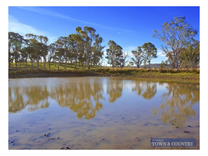 565 Gostwyck Road, Uralla NSW 2358