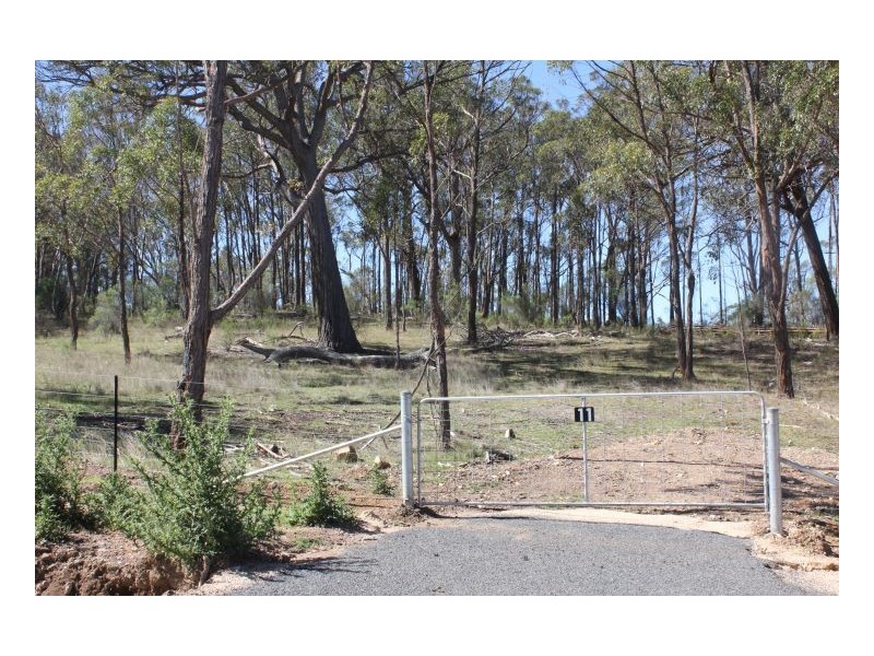 11 Satinvale Estate, Armidale NSW 2350