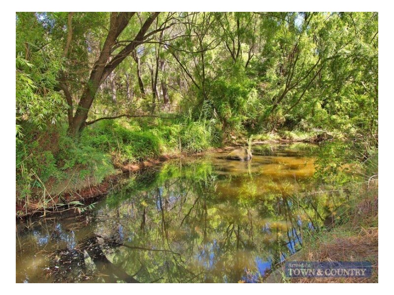 6 Vincent Street, Uralla NSW 2358