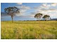 Lot 300 Old Gostwyck Park, Armidale NSW 2350