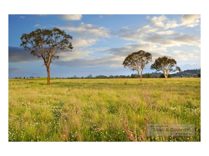 Lot 300 Old Gostwyck Park, Armidale NSW 2350