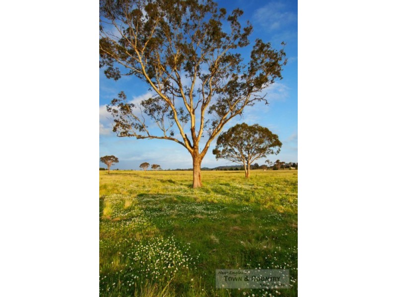 Lot 300 Old Gostwyck Park, Armidale NSW 2350