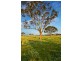 Lot 302 Old Gostwyck Park, Armidale NSW 2350
