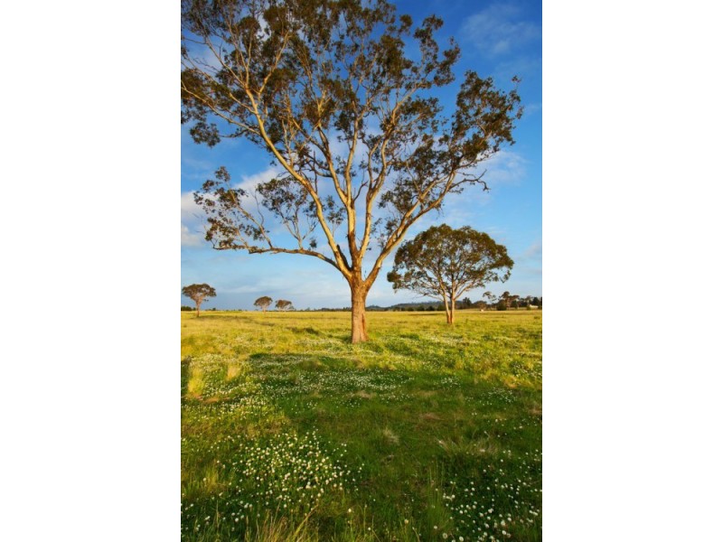 Lot 302 Old Gostwyck Park, Armidale NSW 2350