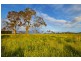 Lot 302 Old Gostwyck Park, Armidale NSW 2350