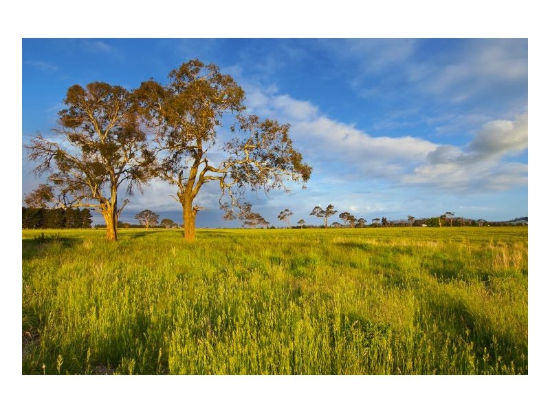 Lot 302 Old Gostwyck Park, Armidale NSW 2350