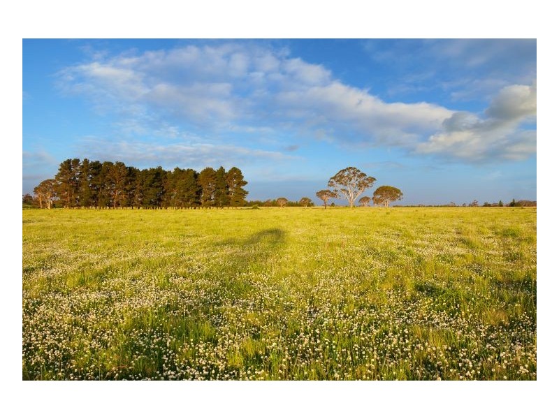 Lot 302 Old Gostwyck Park, Armidale NSW 2350