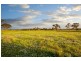 Lot 302 Old Gostwyck Park, Armidale NSW 2350