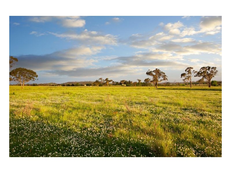 Lot 302 Old Gostwyck Park, Armidale NSW 2350
