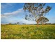 Lot 302 Old Gostwyck Park, Armidale NSW 2350