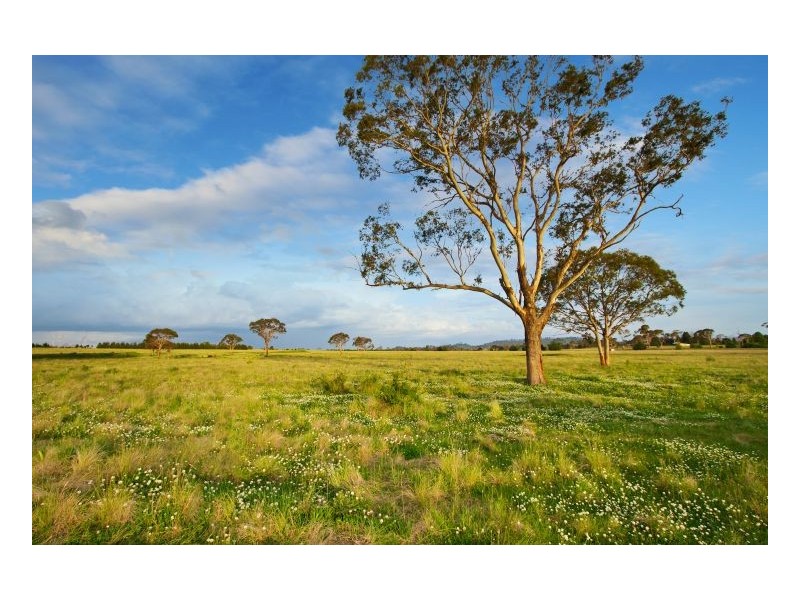 Lot 302 Old Gostwyck Park, Armidale NSW 2350
