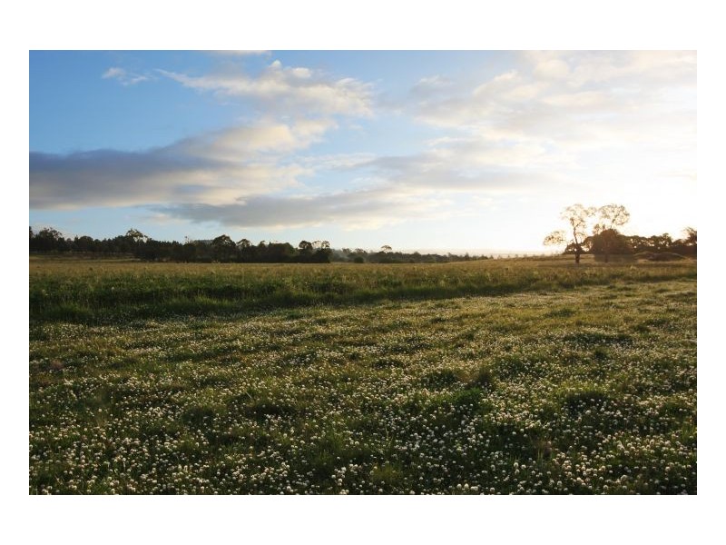 Lot 302 Old Gostwyck Park, Armidale NSW 2350