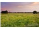 Lot 310 Old Gostwyck Park, Armidale NSW 2350