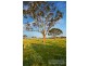 Lot 310 Old Gostwyck Park, Armidale NSW 2350