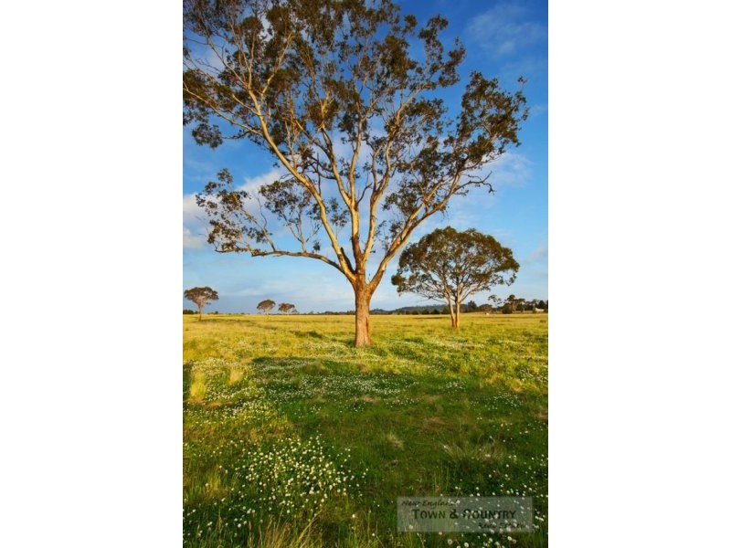 Lot 310 Old Gostwyck Park, Armidale NSW 2350