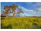 Lot 310 Old Gostwyck Park, Armidale NSW 2350