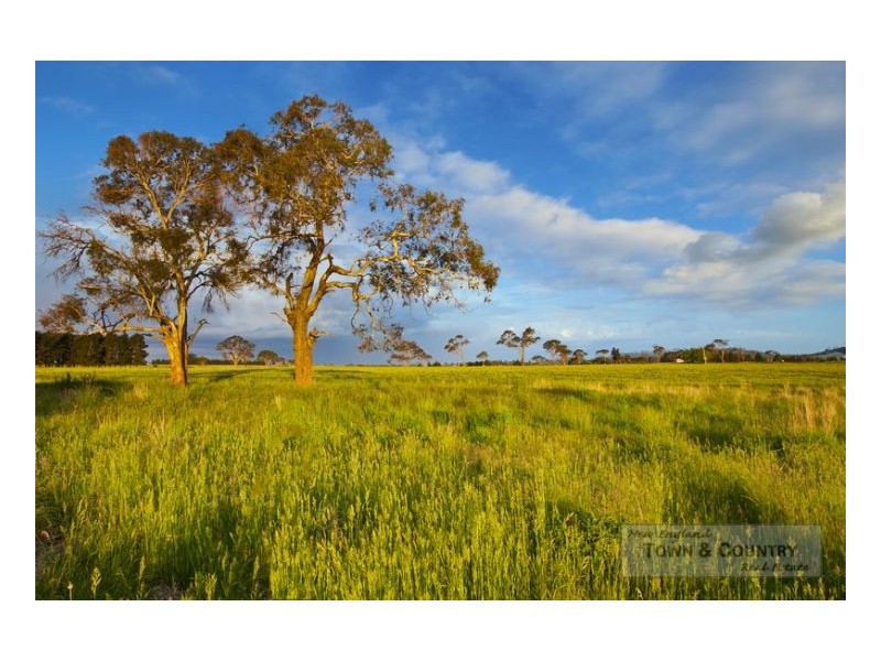 Lot 310 Old Gostwyck Park, Armidale NSW 2350
