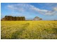 Lot 310 Old Gostwyck Park, Armidale NSW 2350