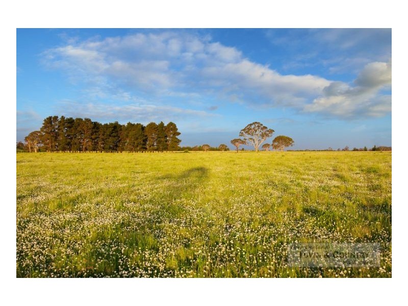 Lot 310 Old Gostwyck Park, Armidale NSW 2350