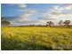 Lot 310 Old Gostwyck Park, Armidale NSW 2350