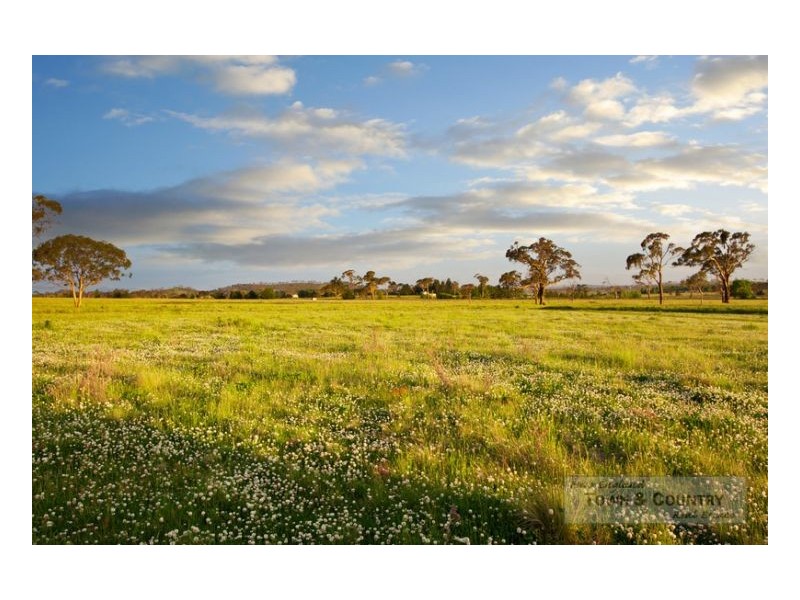 Lot 310 Old Gostwyck Park, Armidale NSW 2350