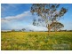 Lot 310 Old Gostwyck Park, Armidale NSW 2350