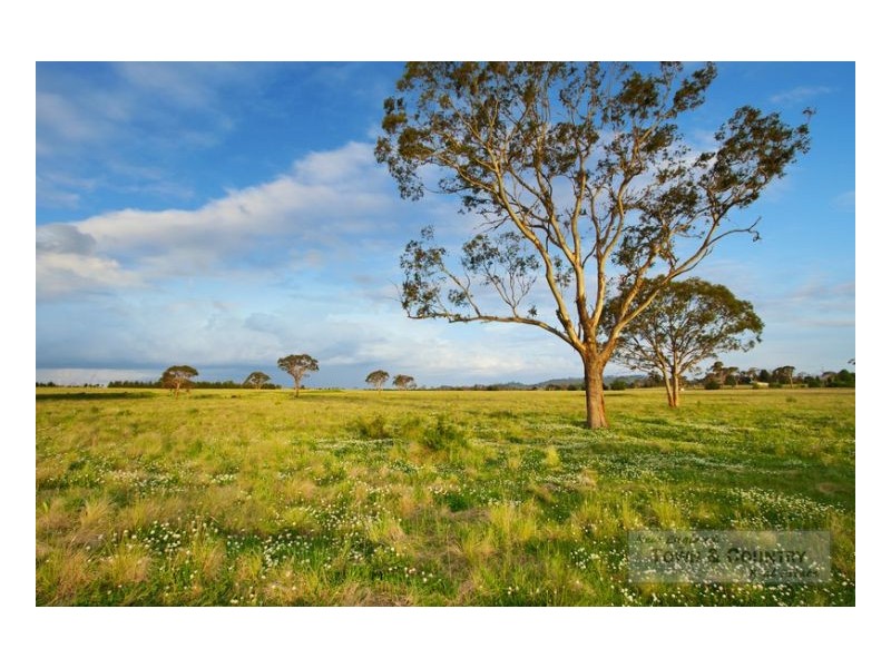 Lot 310 Old Gostwyck Park, Armidale NSW 2350