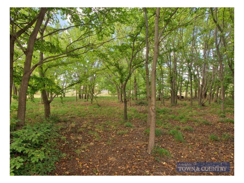 631 Old Inverell Road, Armidale NSW 2350