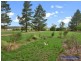631 Old Inverell Road, Armidale NSW 2350