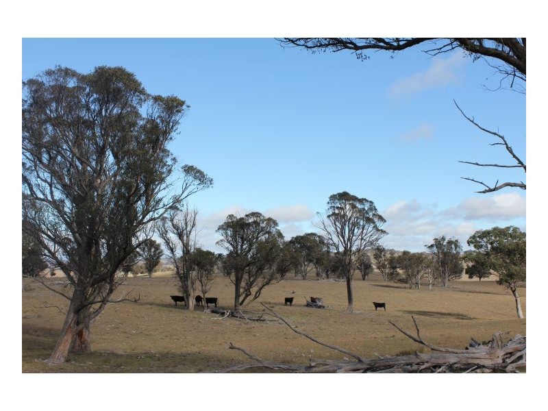 Hillgrove Station, Armidale NSW 2350