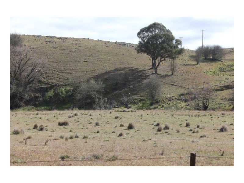 Hillgrove Station, Armidale NSW 2350