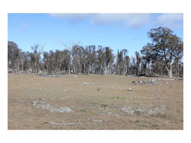 Hillgrove Station, Armidale NSW 2350