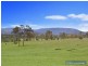 128 Kelly’s Plains Rd, Armidale NSW 2350