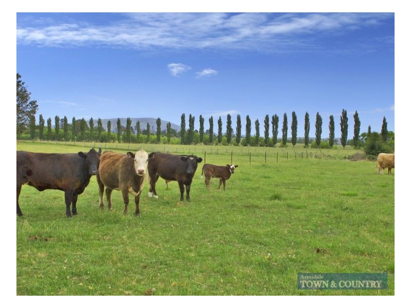 23 O’Connell Road, Armidale NSW 2350