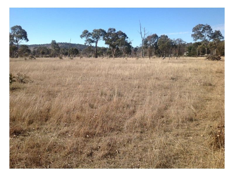 21 Beethoven Lane, Armidale NSW 2350