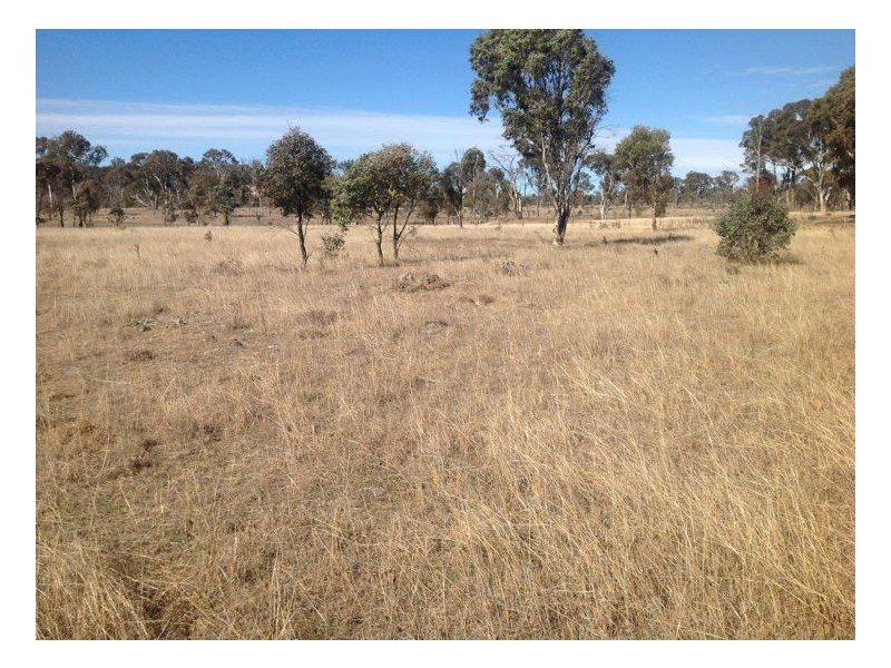 21 Beethoven Lane, Armidale NSW 2350
