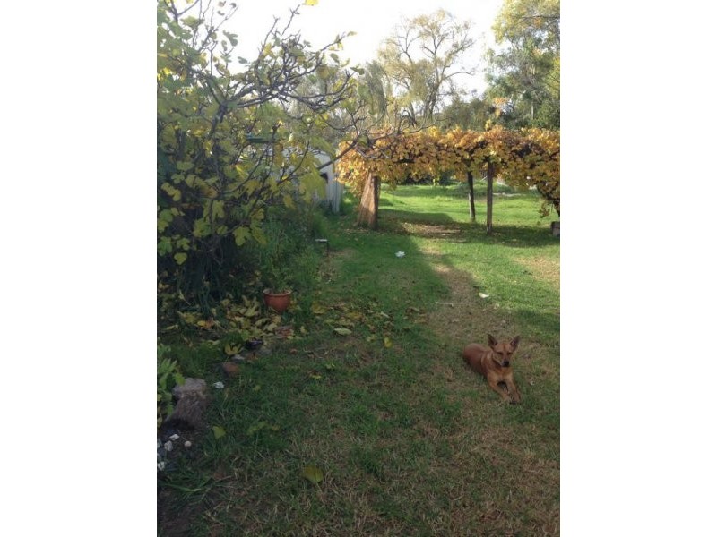 249 Beardy Street, Armidale NSW 2350