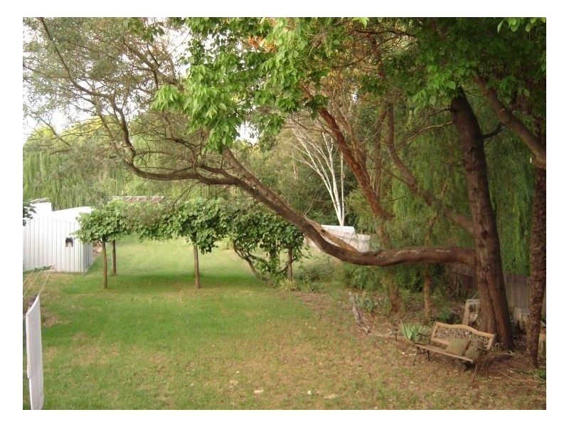 249 Beardy Street, Armidale NSW 2350