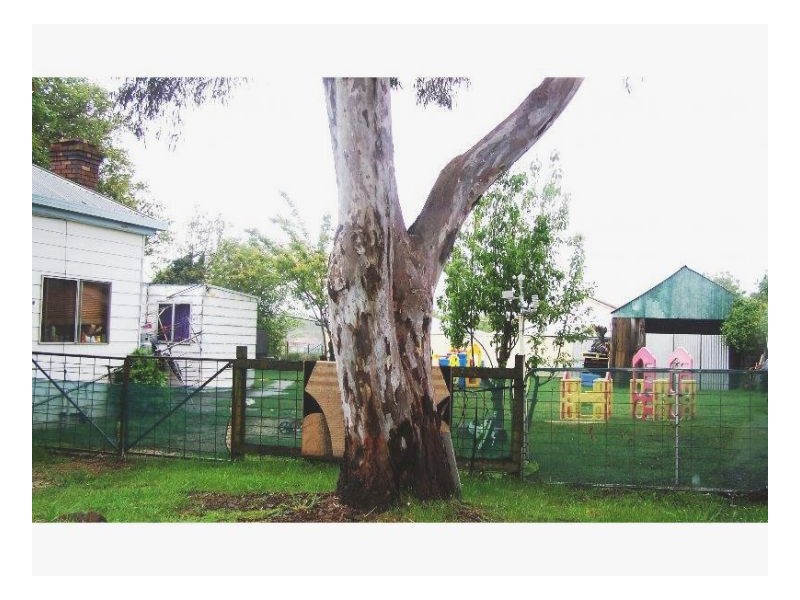 92 Ollera Street, Guyra NSW 2365