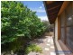 21 Roseneath Lane, Armidale NSW 2350
