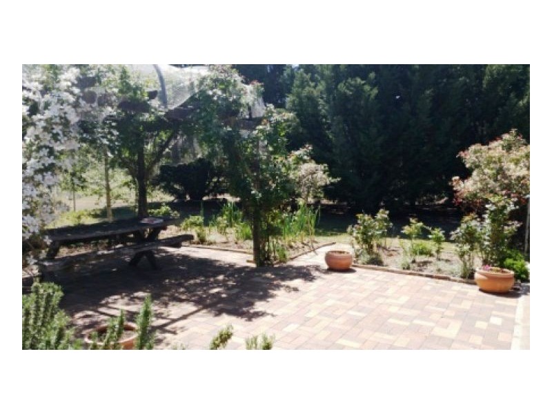 38 Martin Lane, Kentucky NSW 2354