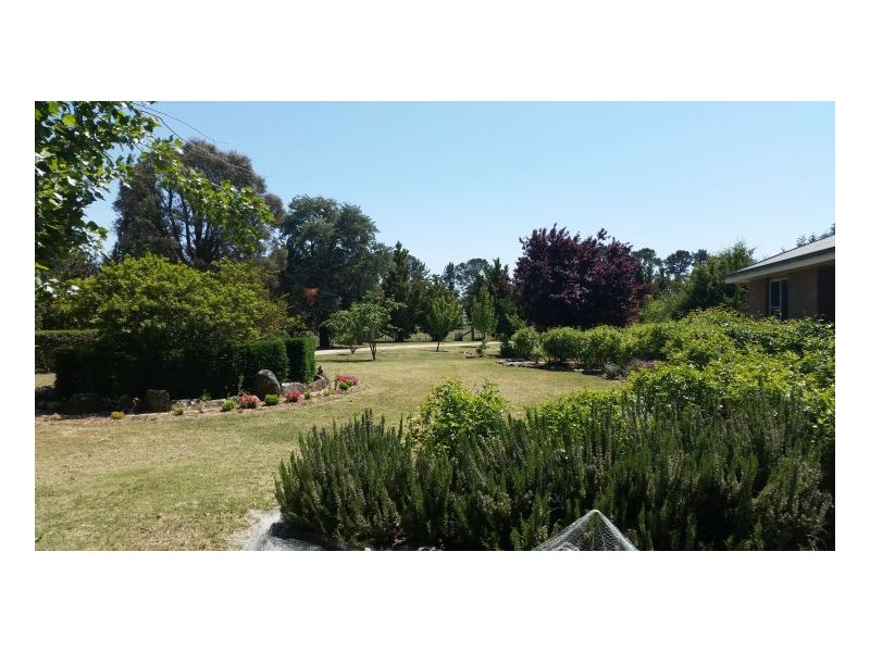 38 Martin Lane, Kentucky NSW 2354