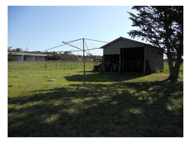 38 White Avenue, Armidale NSW 2350