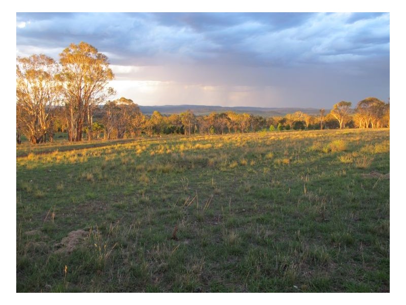 99 Fittler Road, Armidale NSW 2350