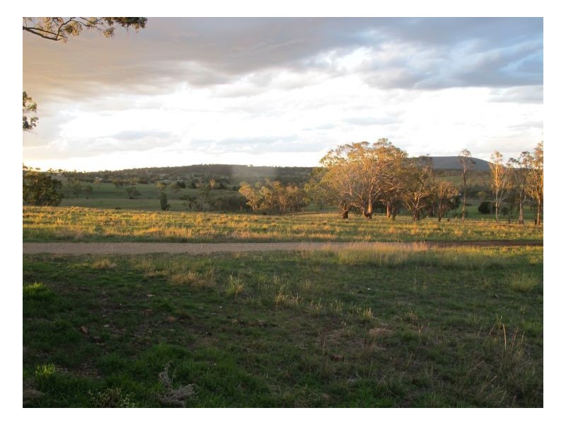 99 Fittler Road, Armidale NSW 2350