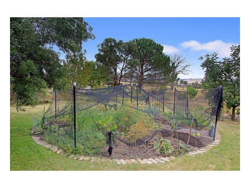 78 McCannas Road, Armidale NSW 2350